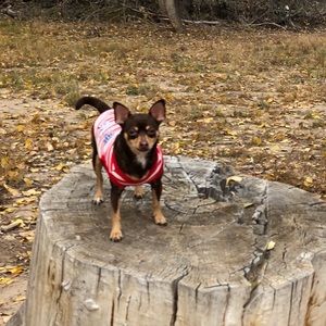 Meet your Posher, Sarika